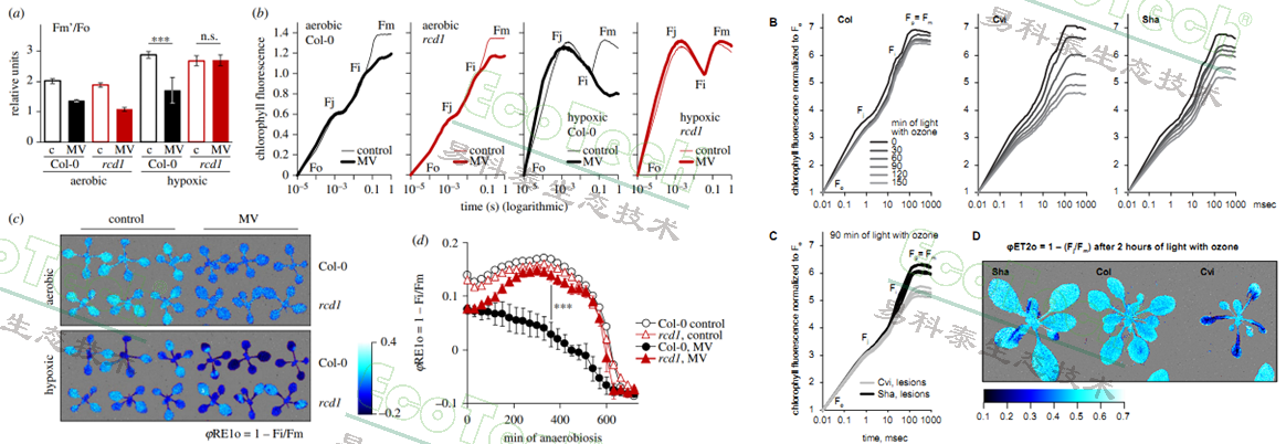 77779193永利官网(集团)有限公司
