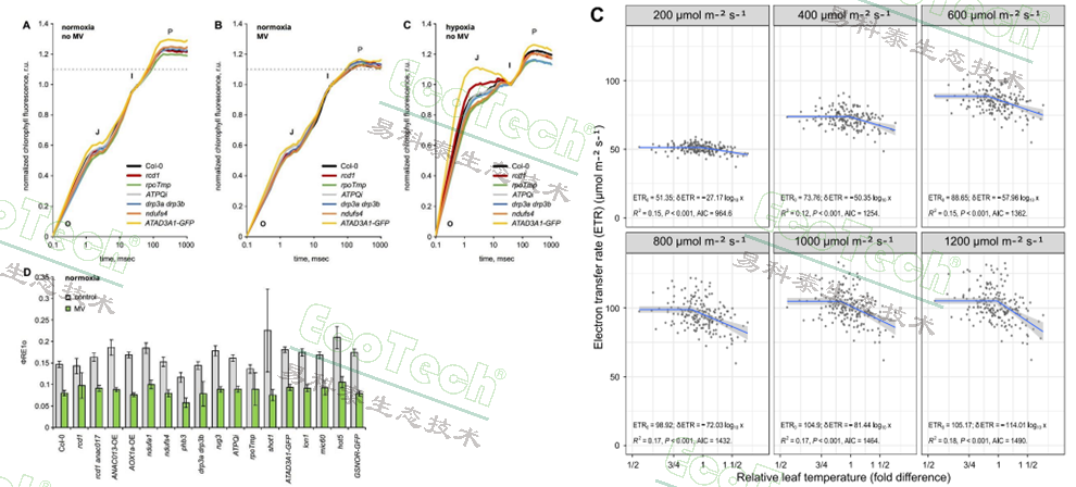 77779193永利官网(集团)有限公司