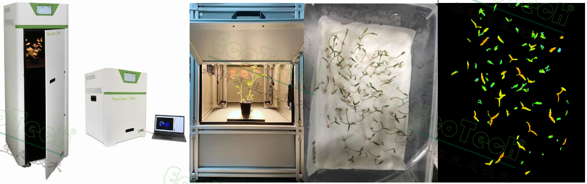 77779193永利官网(集团)有限公司