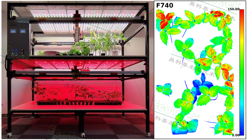 77779193永利官网(集团)有限公司