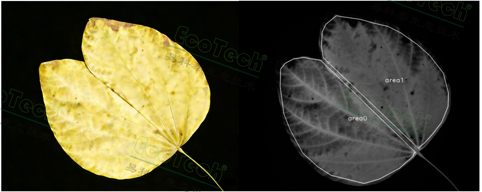 77779193永利官网(集团)有限公司