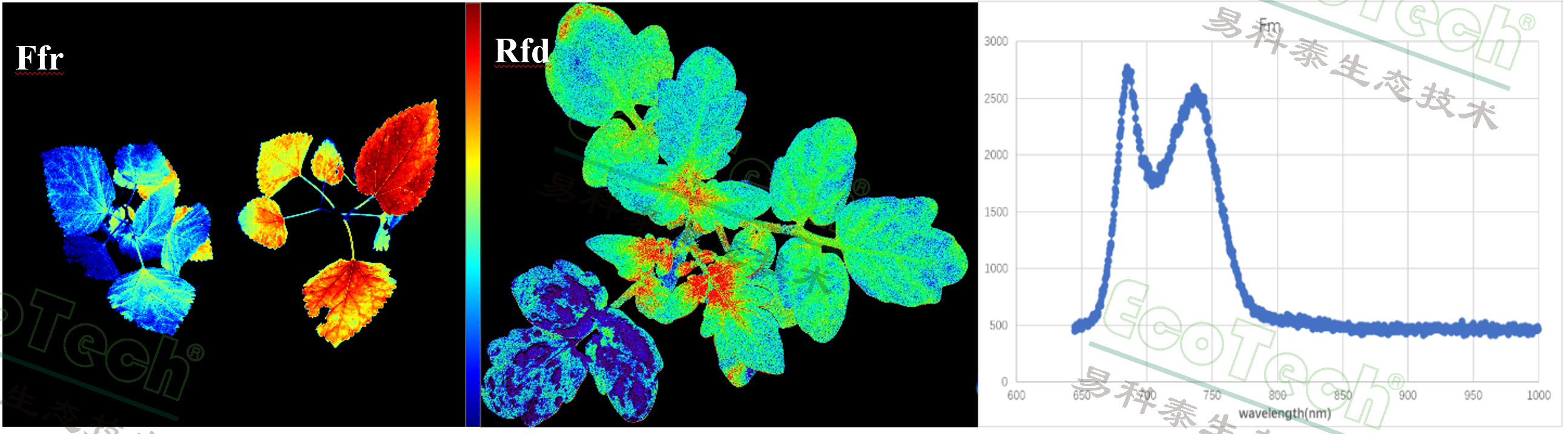 77779193永利官网(集团)有限公司