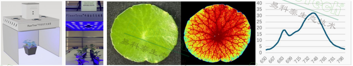 77779193永利官网(集团)有限公司