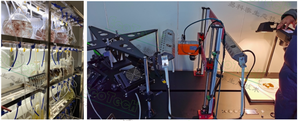 77779193永利官网(集团)有限公司