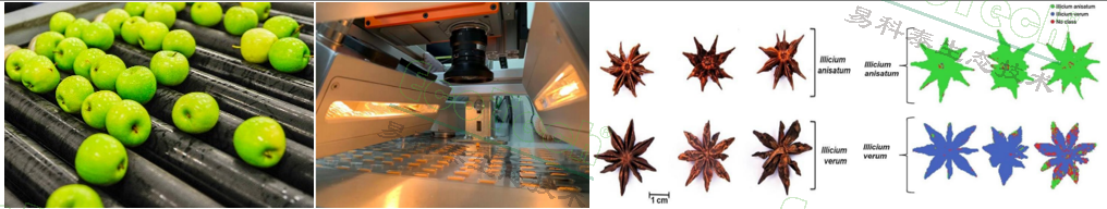 77779193永利官网(集团)有限公司