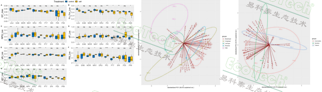 77779193永利官网(集团)有限公司