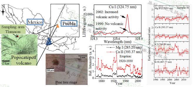77779193永利官网(集团)有限公司