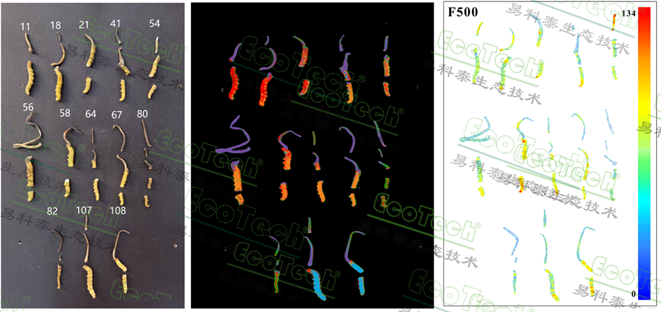77779193永利官网(集团)有限公司