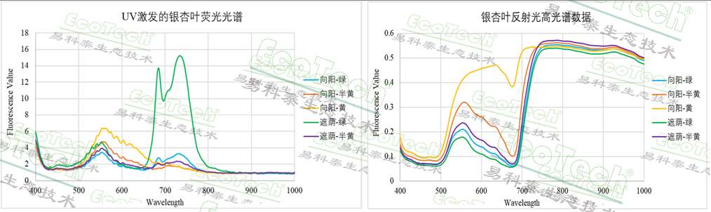 77779193永利官网(集团)有限公司