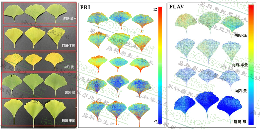 77779193永利官网(集团)有限公司