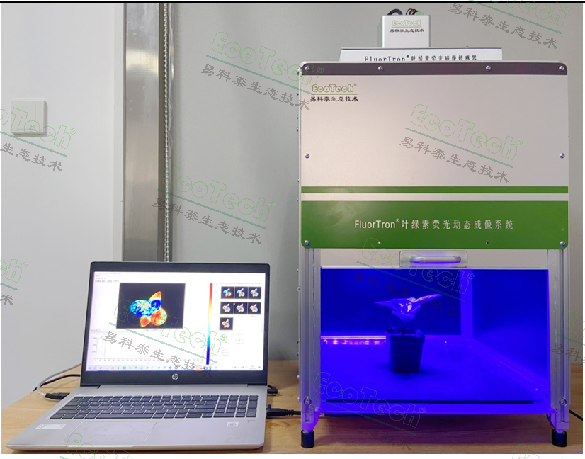 77779193永利官网(集团)有限公司