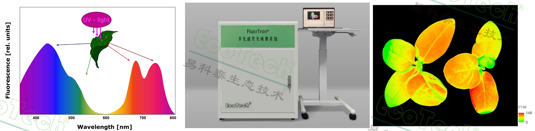 77779193永利官网(集团)有限公司