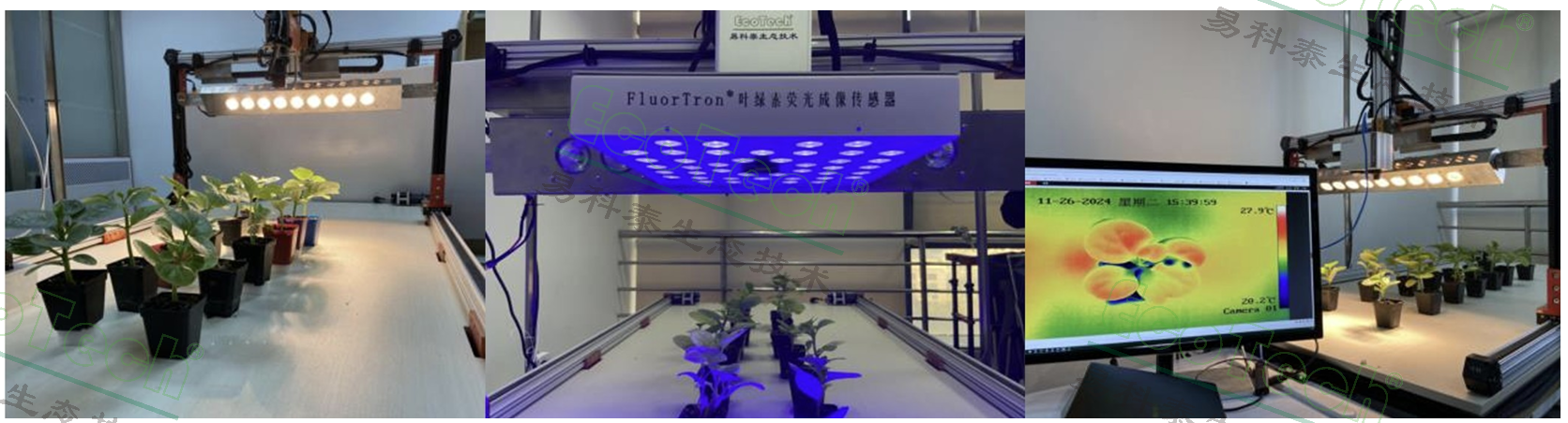 77779193永利官网(集团)有限公司