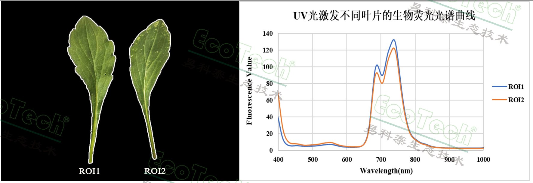 77779193永利官网(集团)有限公司