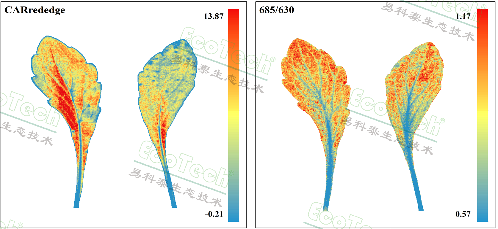 77779193永利官网(集团)有限公司