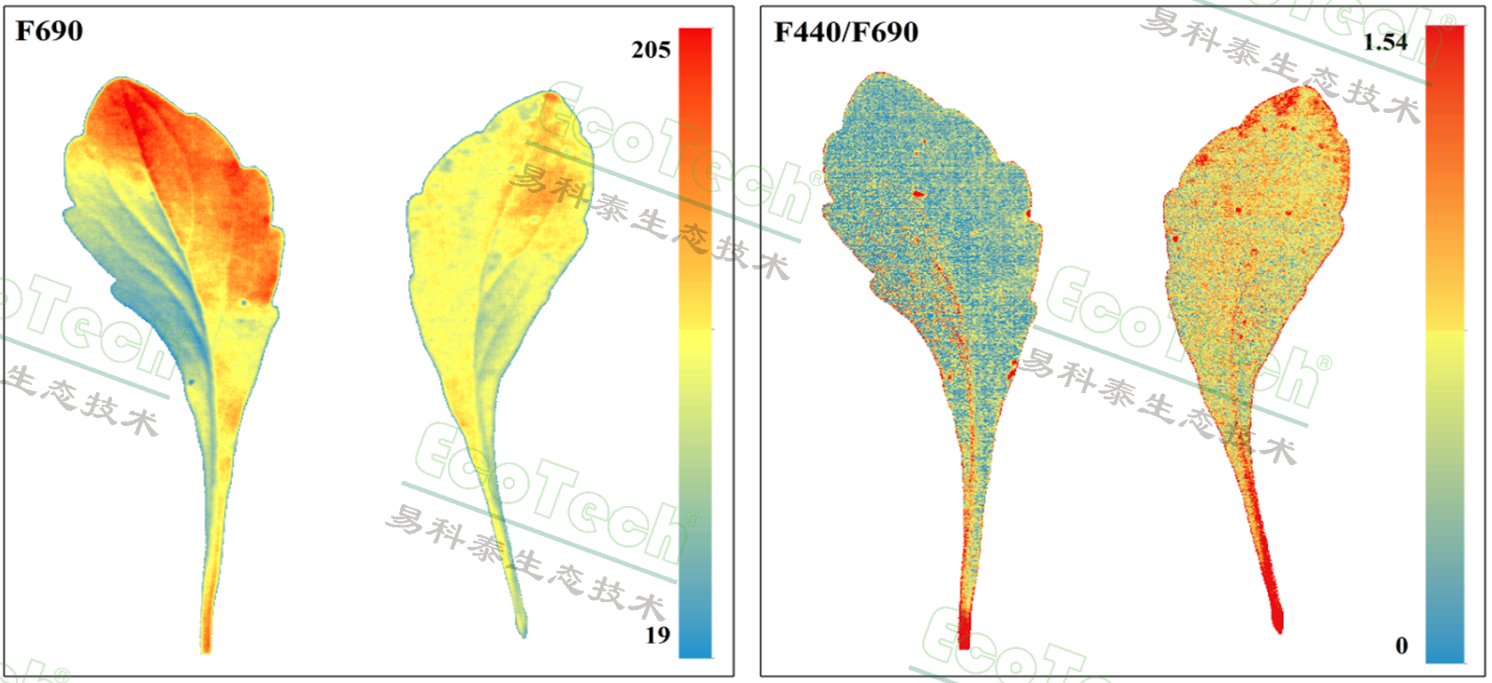 77779193永利官网(集团)有限公司