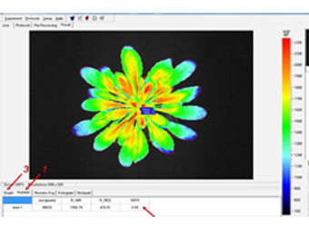 ？？？槭街参锉硇统上衿饰鱿低