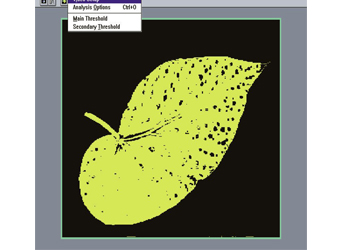 skye根系叶片图像剖析仪
