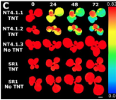 PhenoTron?种子活力综合检测系统
