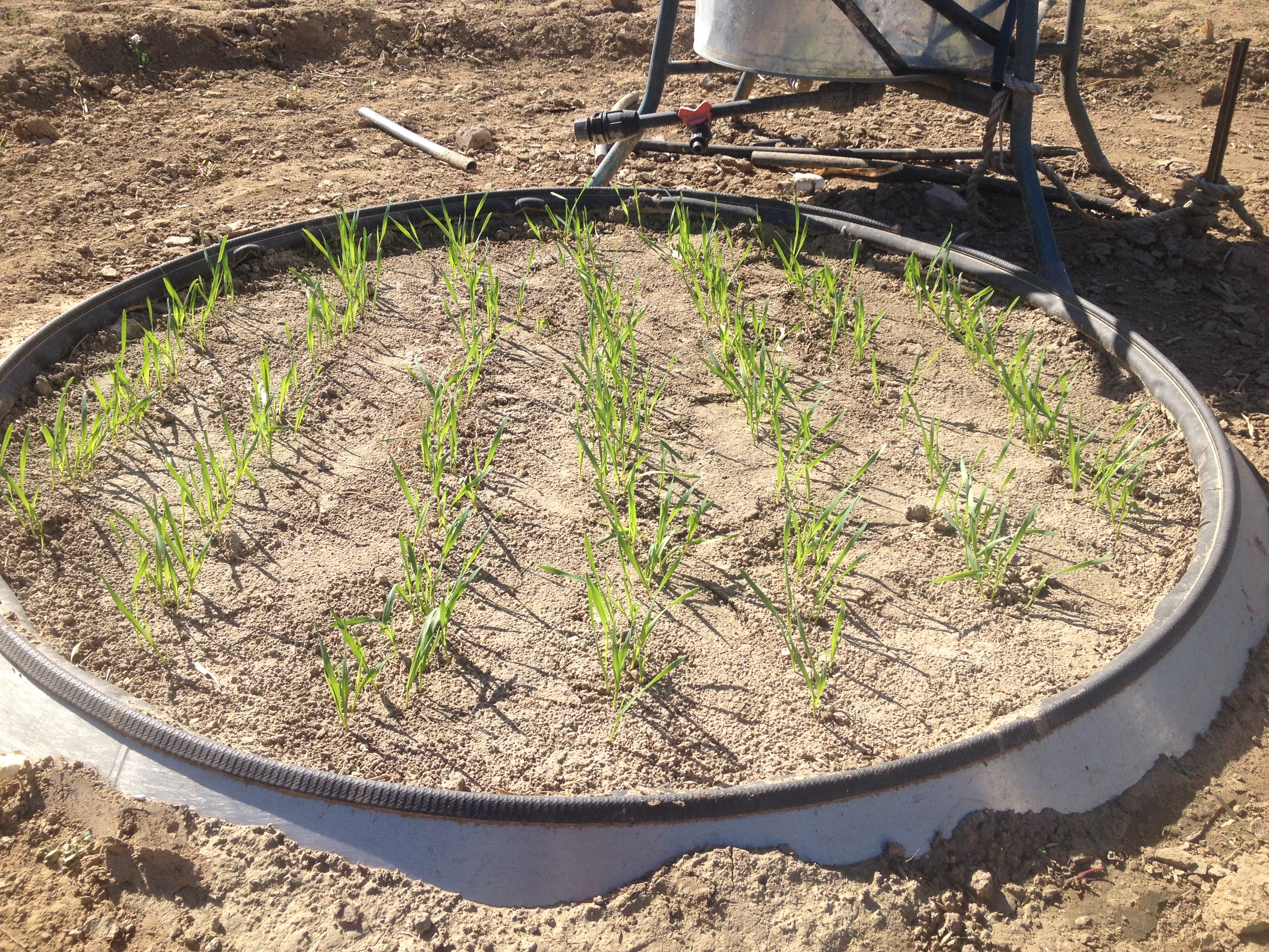 EcoTron多功效小型蒸渗仪