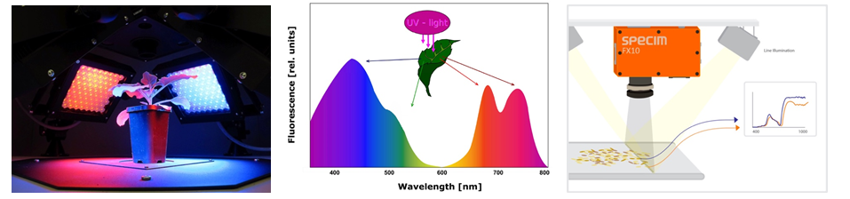 77779193永利官网(集团)有限公司